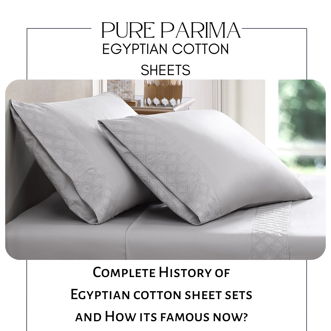 Complete History of Egyptian cotton sheet sets and How It's Famous Now?