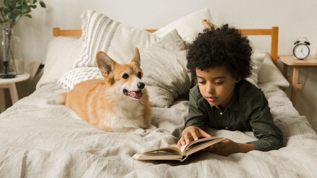 Top 7 Ways To Keep Your Luxury Bed Sets Clean When You Have Pets