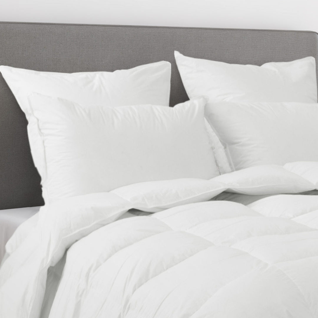 Nirvana 700+ Hypoallergenic Polish White Goose Down Pillow Pillow Inserts By Downright