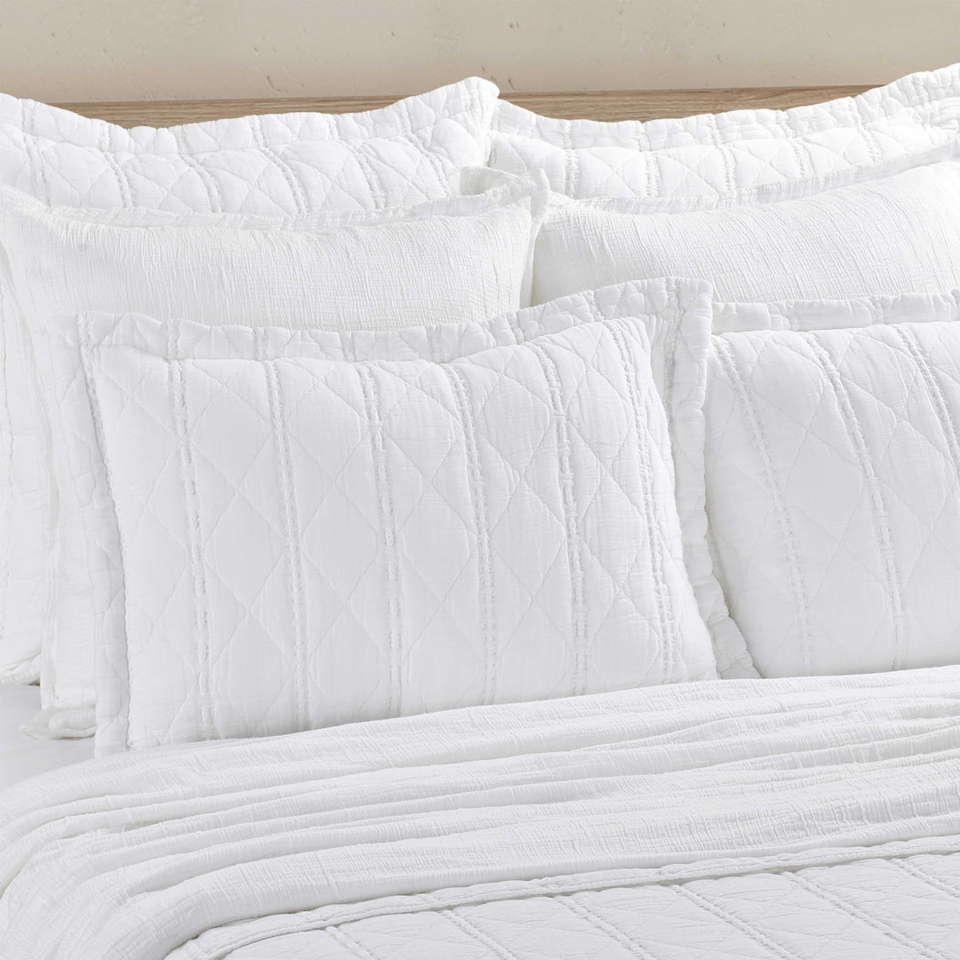 Playa Sham Sham By J. Queen New York