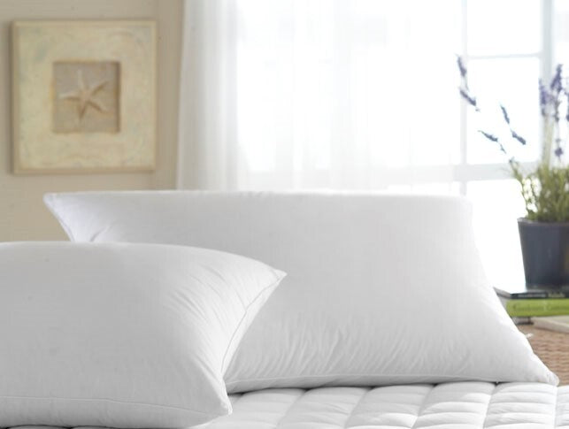 Tribeca Hypoallergenic 95/5 White Goose Down/White Goose Feathers Pillow Pillow Inserts By Downright