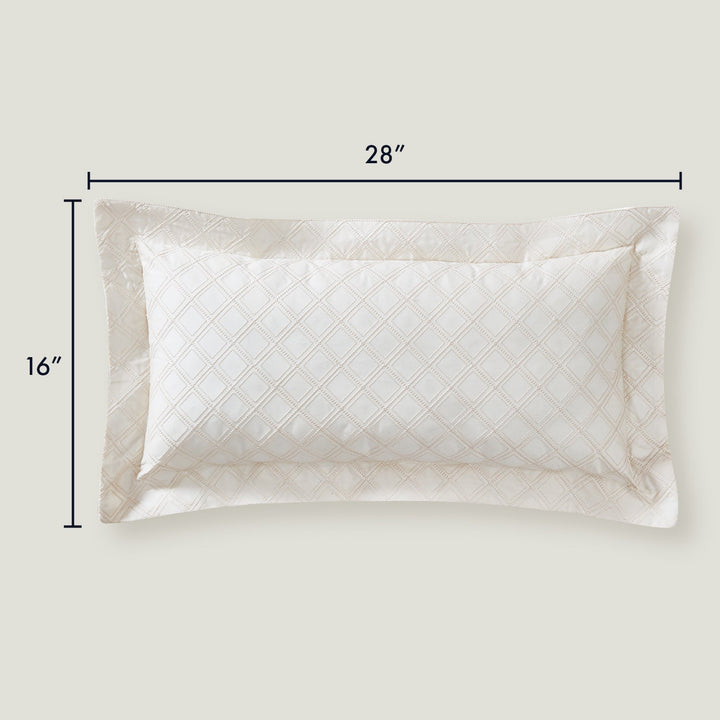 Hira Decorative Lumbar Pillow | 100% Certified Giza Egyptian Cotton Throw Pillows By Pure Parima